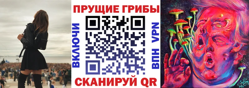 Псилоцибиновые грибы Psilocybe  Мосальск 